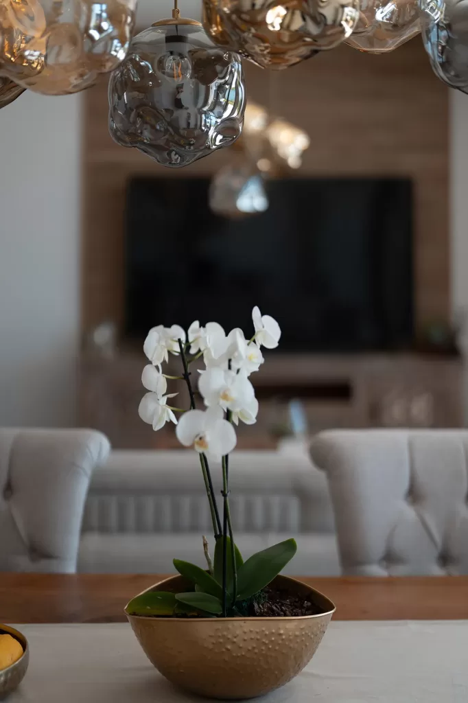 Living_room_2